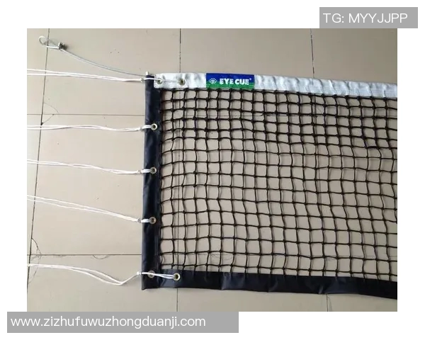 排球装备选购指南：如何选择适合自己的排球拍与配件推荐